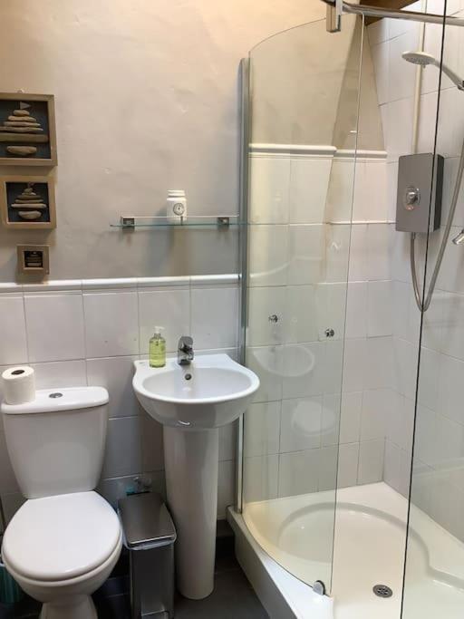Apple Tree Corner Villa Blaenporth Dış mekan fotoğraf